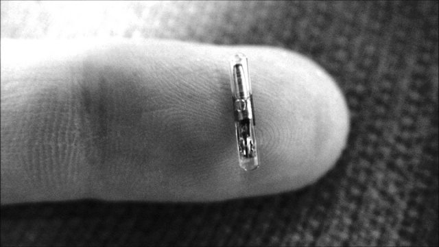 Biochip