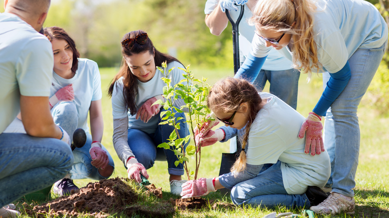 Composizione e luce di un fotogramma Composizione e luce di un fotogramma