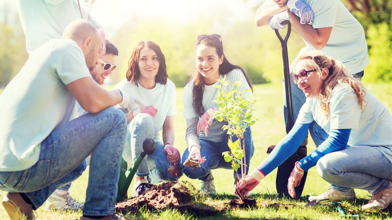 Impostare il fil rouge dello storytelling Impostare il fil rouge dello storytelling