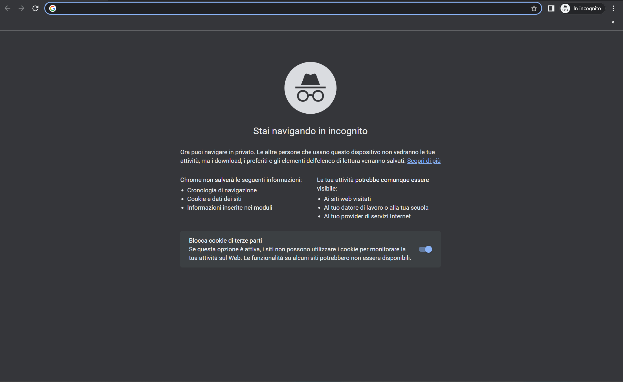 Navigare in incognito schermata Navigare in incognito schermata