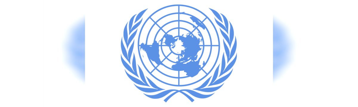 Google e l'ONU per monitorare i cambiamenti ambientali
