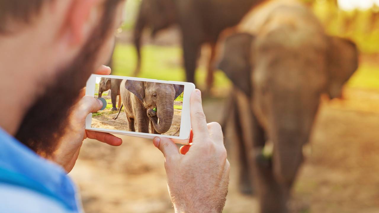 Foto con smartphone Foto con smartphone