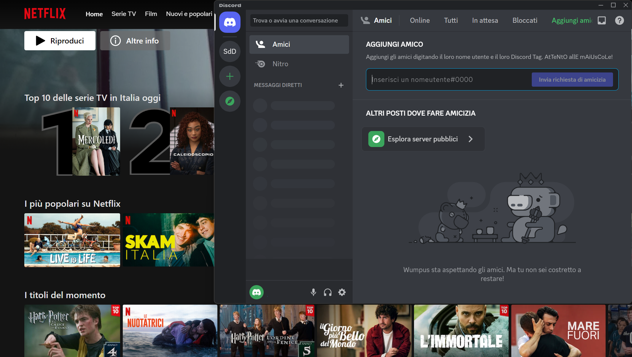 Schermata Discord Schermata Discord