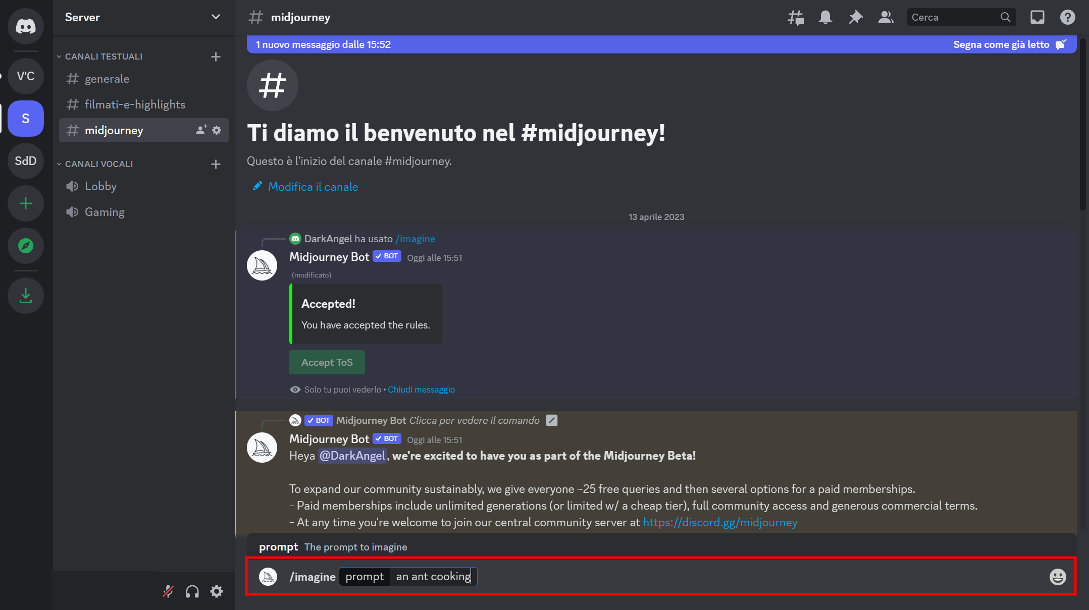 Attivare un’app sul server Discord