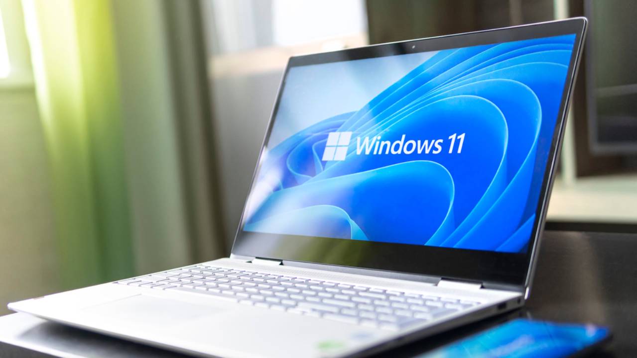 Windows 11 Windows 11