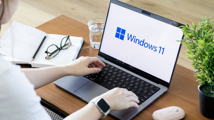 Windows 11