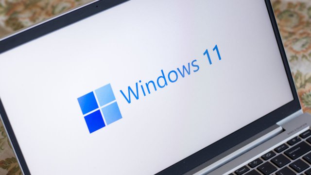 Windows 11