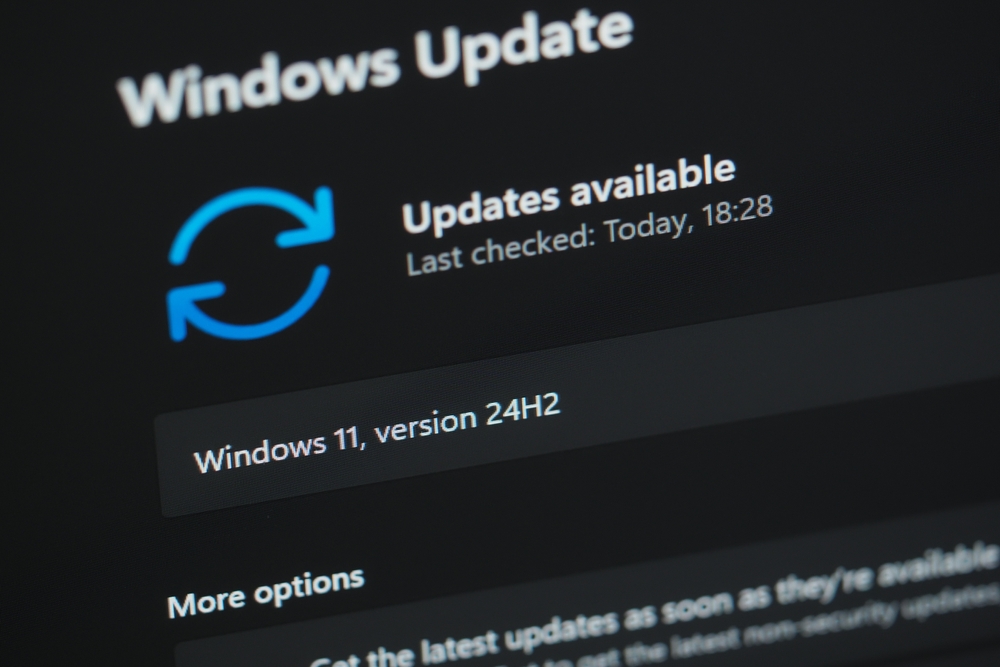 Update Windows 11