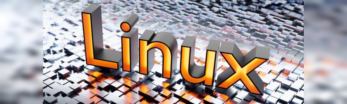 distribuzioni linux specializzate