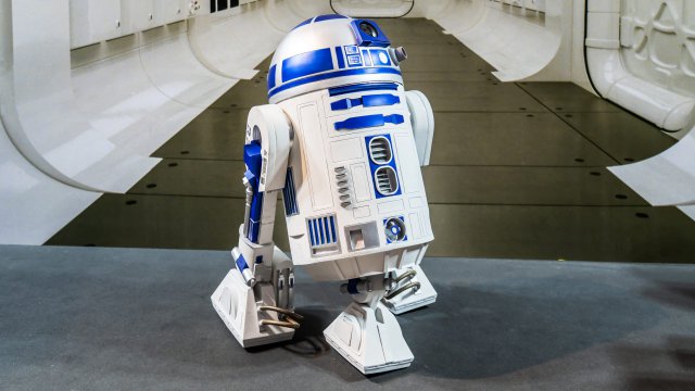 Star Wars Day