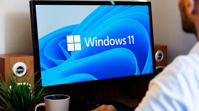 Windows 11