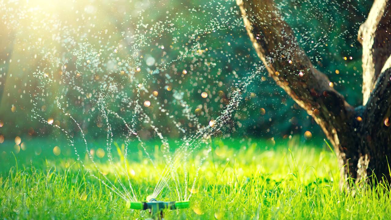 Giardino e digitale Giardino e digitale