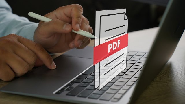 pdf