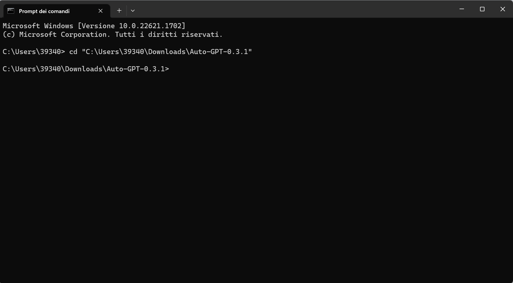 Prompt comandi su Microsoft Windows Prompt comandi su Microsoft Windows