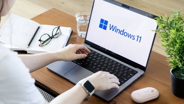 Windows 11