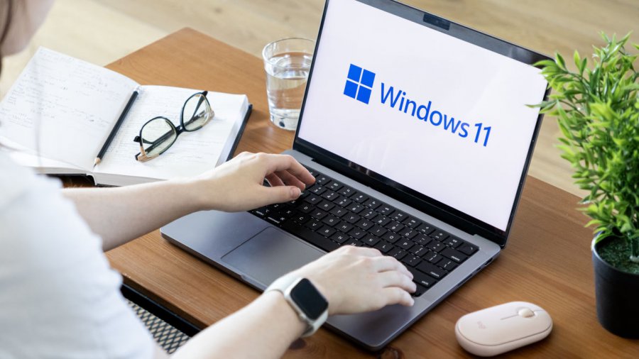 Windows 11