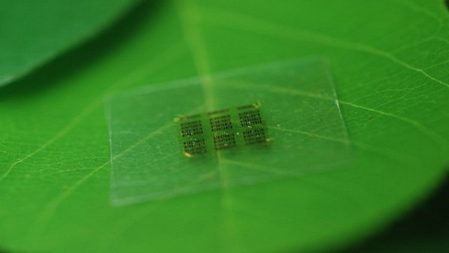 Un chip in cellulosa per non inquinare 