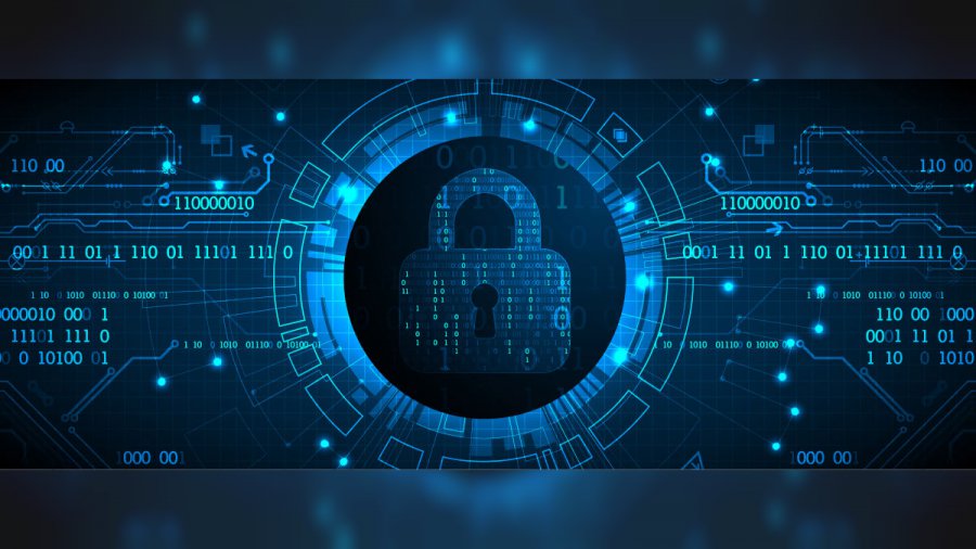 privacy web vpn o modalità incognito
