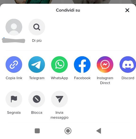 Bloccare un utente su TikTok