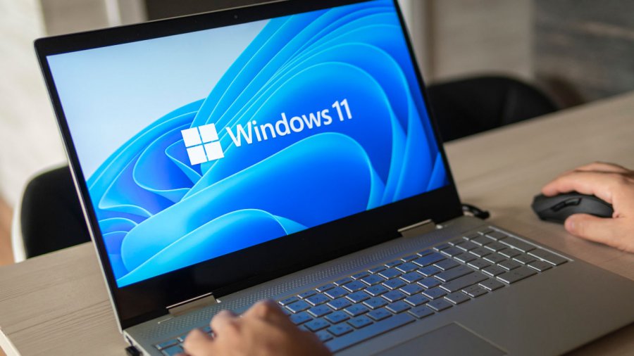 Windows 11