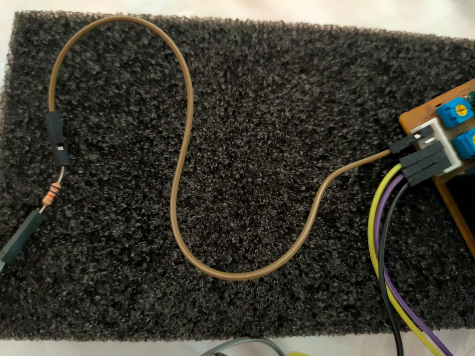 Collegamento sensore Collegamento sensore