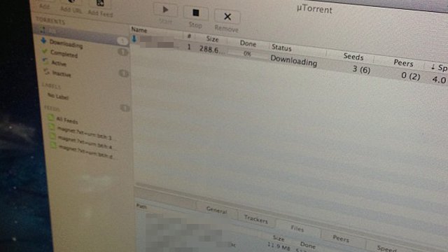 Scaricare musica e film con un client torrent