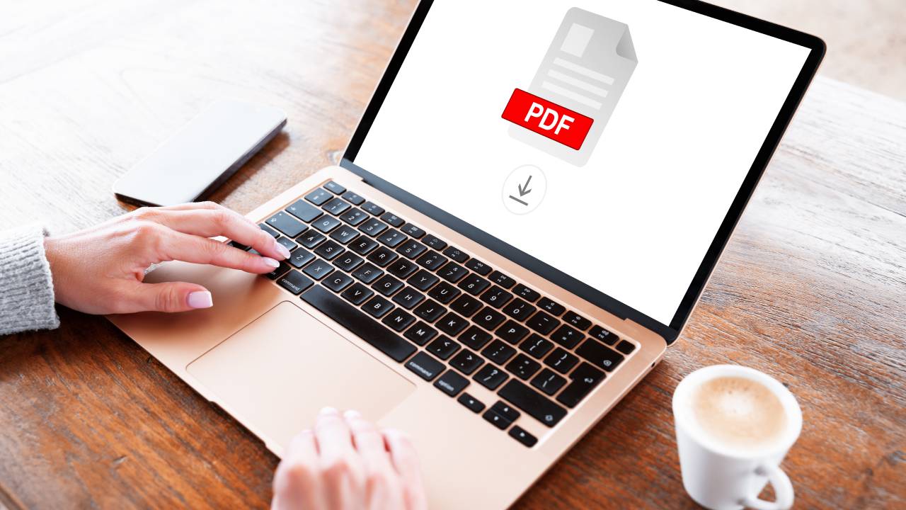 PDF PDF