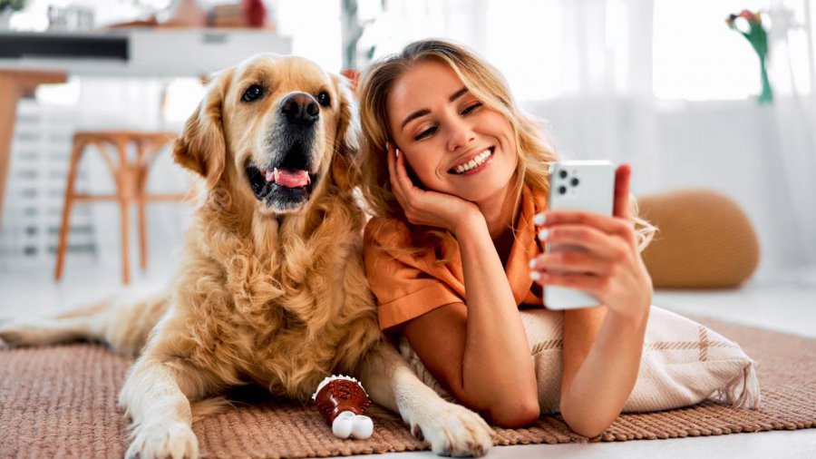 animali domestici e smartphone