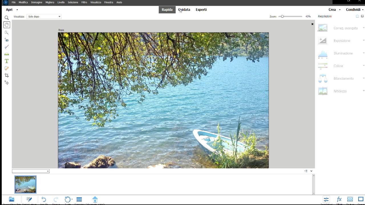 Collage e presentazioni Collage e presentazioni