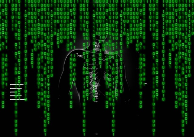 cybercrime