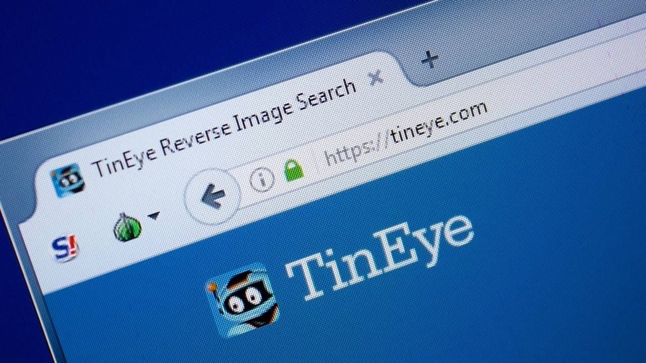 TinEye e Exif Data Viewer