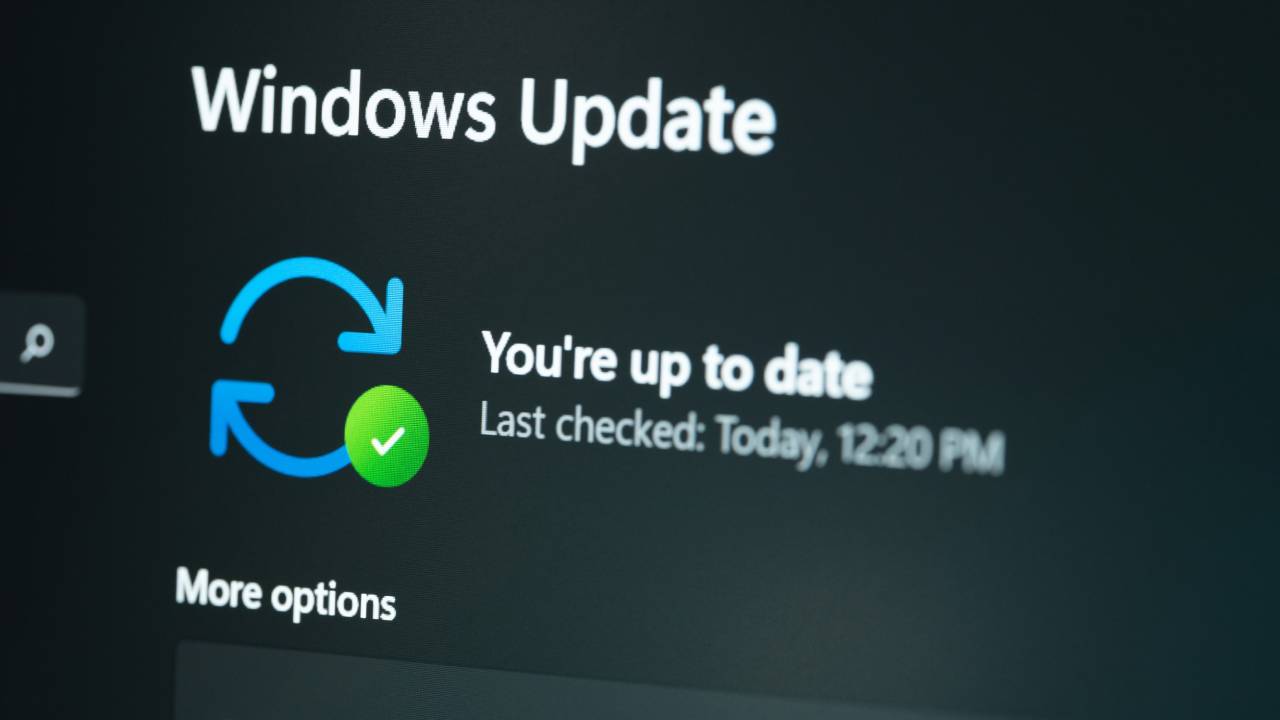 Windows 11 update