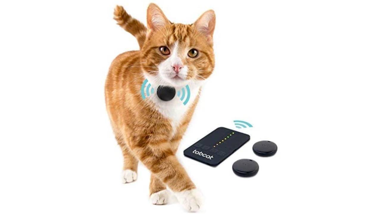 tabcat tracker gps