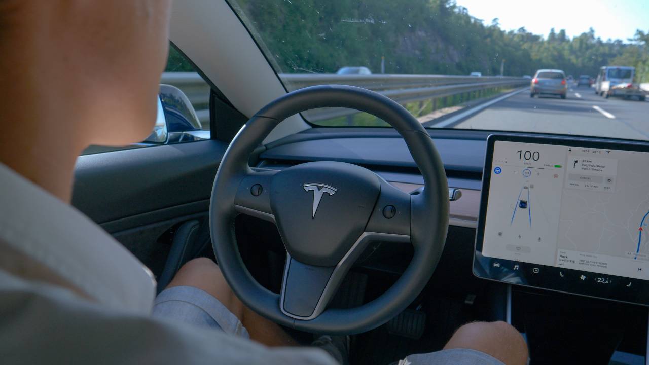 persona alla guida di tesla