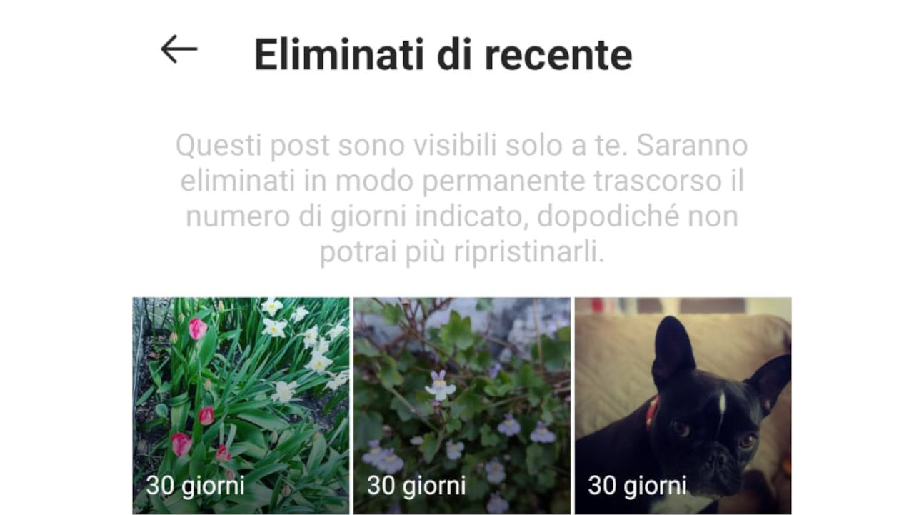 ripristinare post instagram