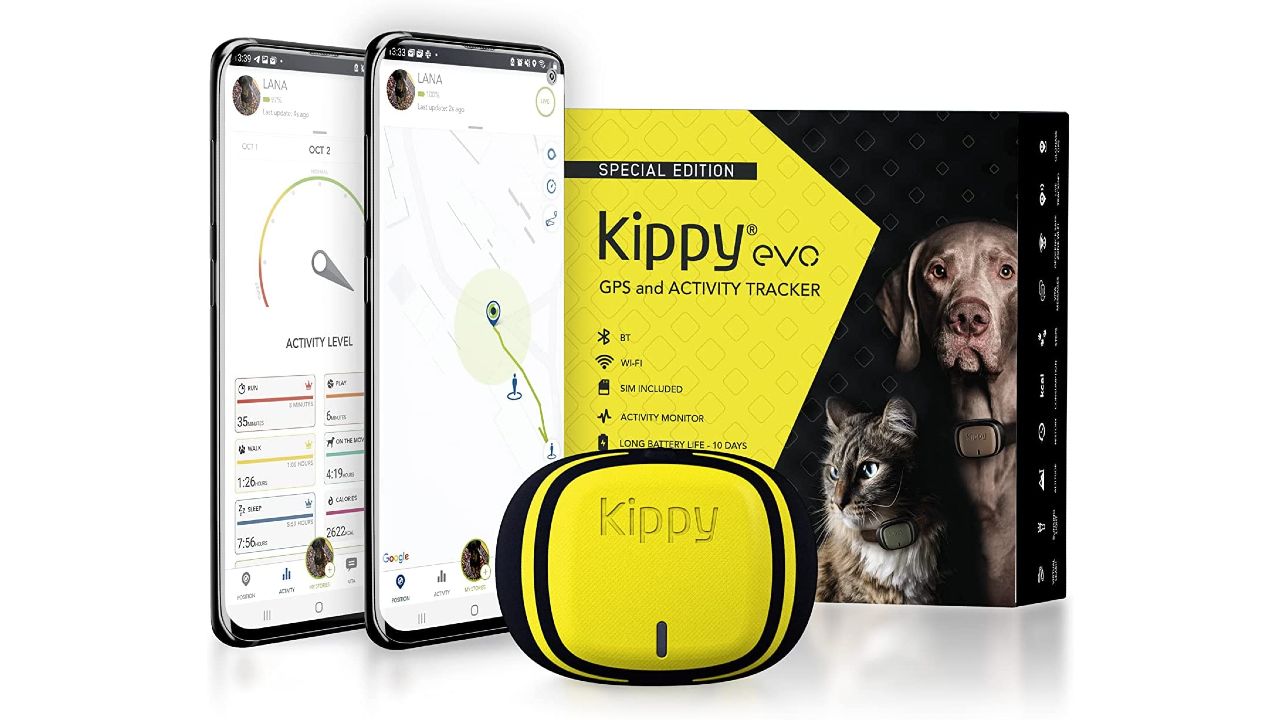 collare smart kippy evo