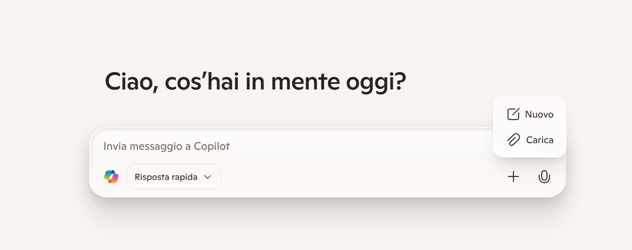 caricare file in copilot
