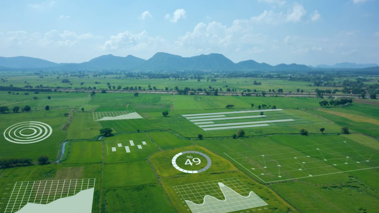 immagine di un paesaggio agricolo