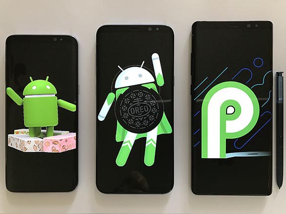 Varie versioni di Android, incluso Android P
