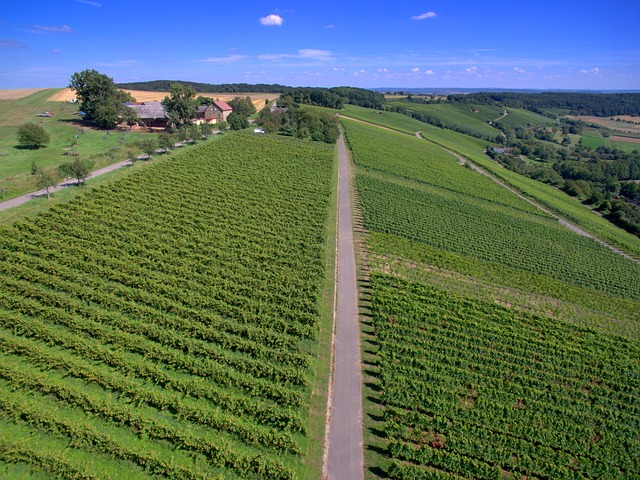 monitorare il campo con i droni