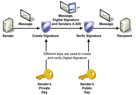 firma digitale