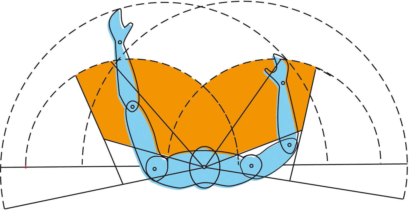 Corretta postura e movimenti delle braccia e delle mani