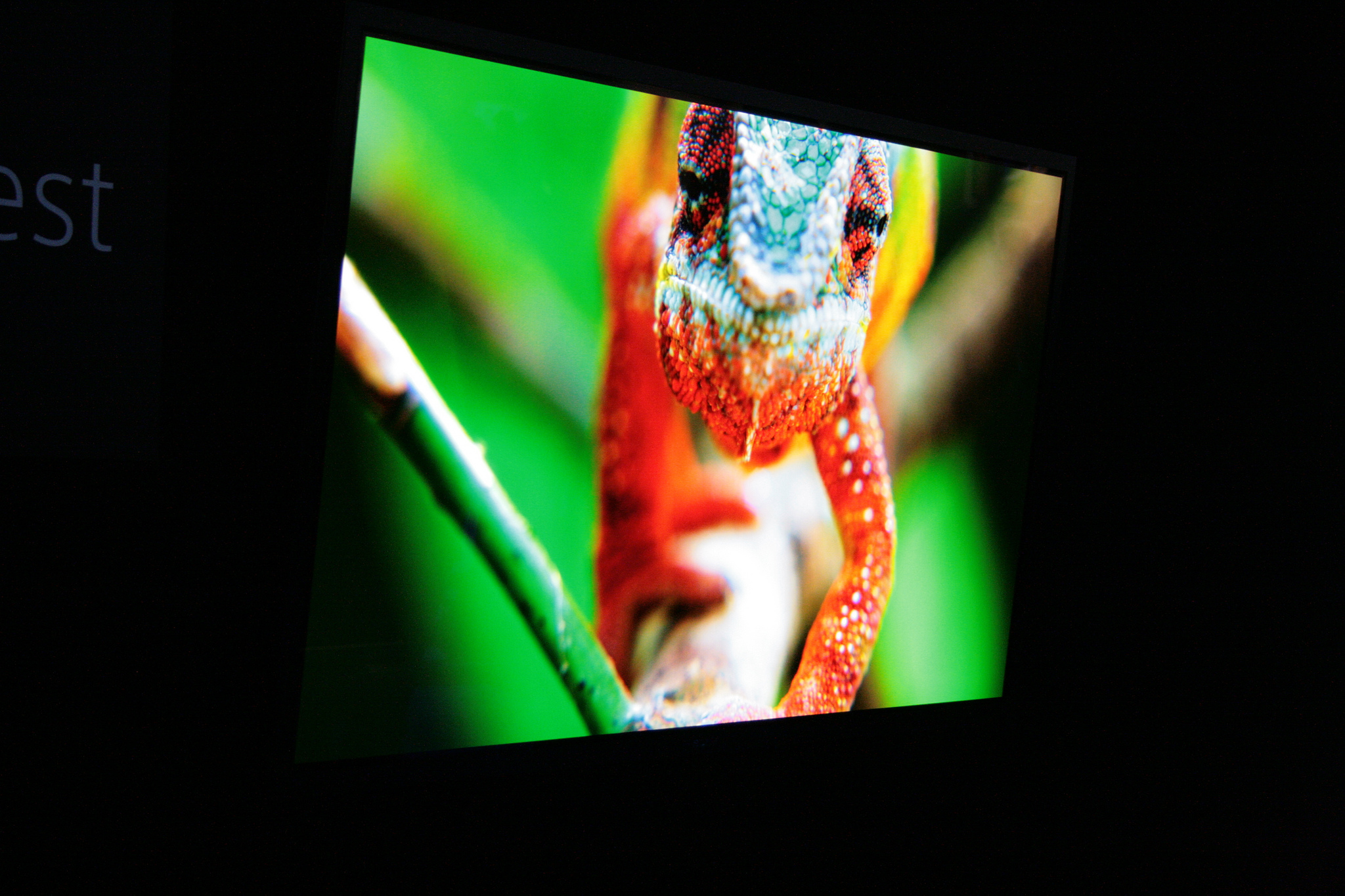 I TV 4K assicurano un realismo senza pari
