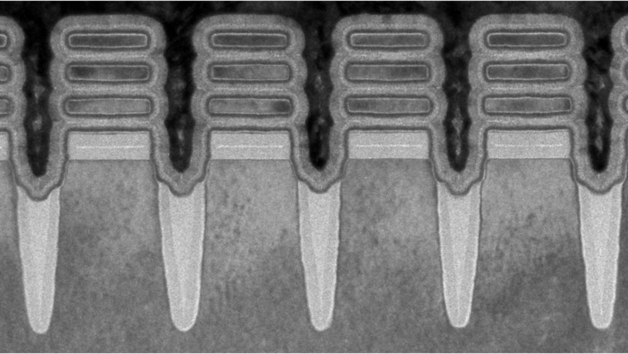 microchip ibm