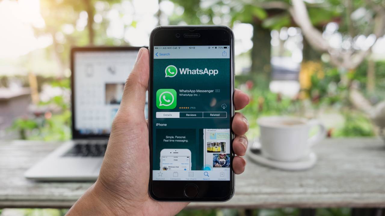 whatsapp web business