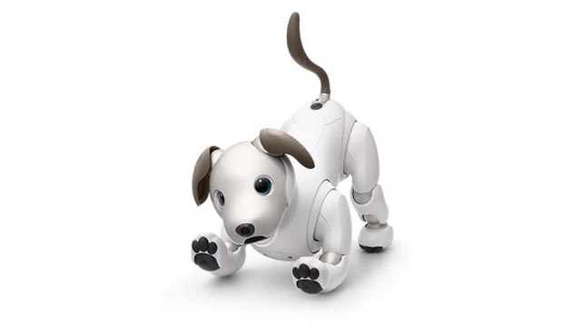 sony aibo