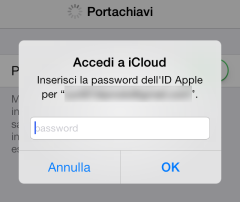 Apple iCloud Keychan iOS 7.0.3