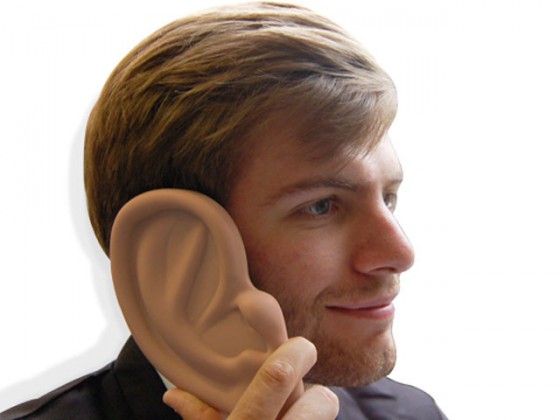 Ear case