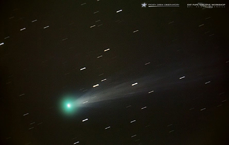 La cometa ISON in un'immagine dalla Rete