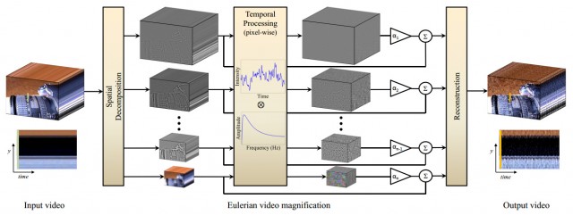 Ecco come I video vengono modificati con l'Eurlerian Video Magnification